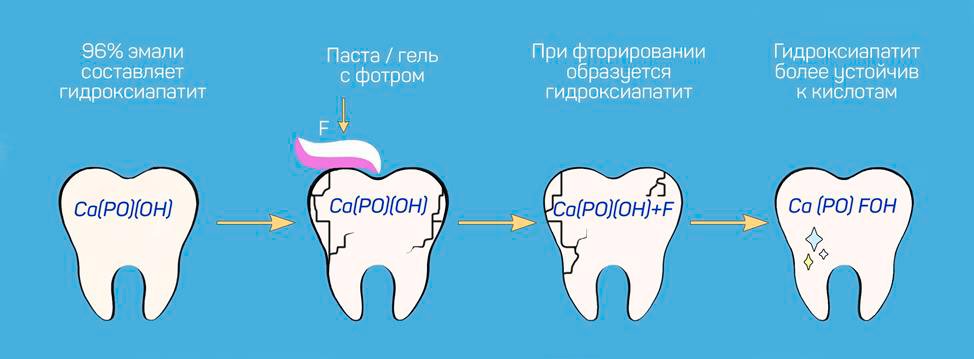 Влияние фтора на коронку зуба